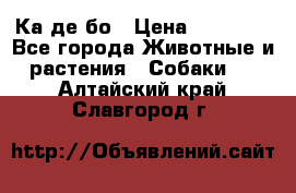 Ка де бо › Цена ­ 25 000 - Все города Животные и растения » Собаки   . Алтайский край,Славгород г.